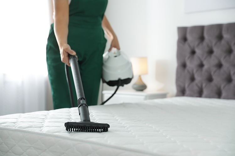 Revitalize Your Sleep: A Comprehensive Guide to Spring Cleaning Your Mattress